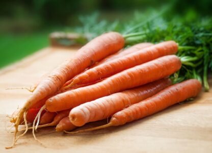 Herbivores vs. Omnivores: Nutrients Your Diet May Be Lacking