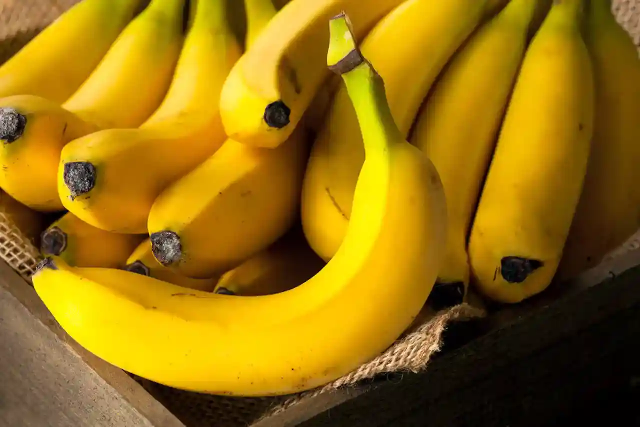 Let’s All Go Bananas!