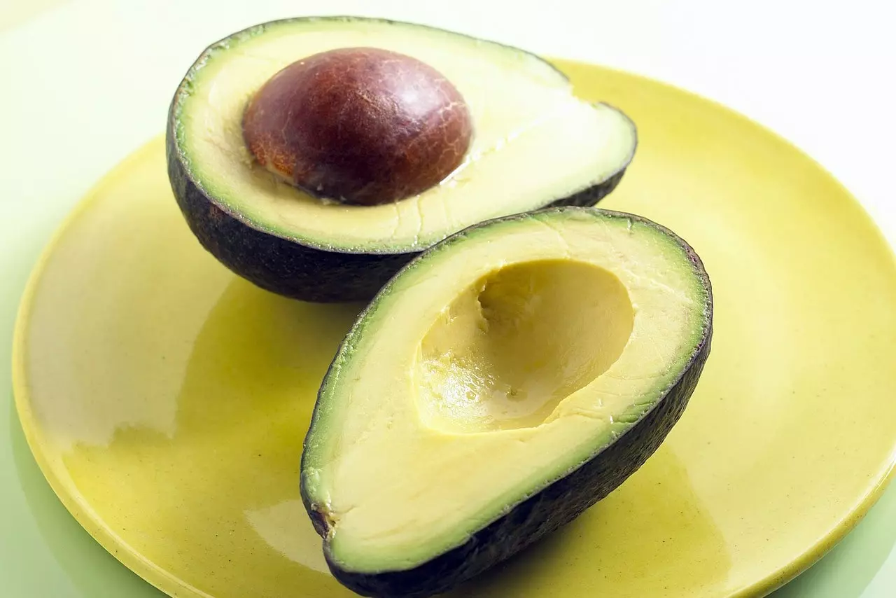 Amazing Avocado: 5 Reasons You Should Have One Today