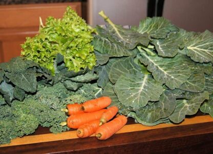 Living Your Life Plant Powered: Tips To Get You Started