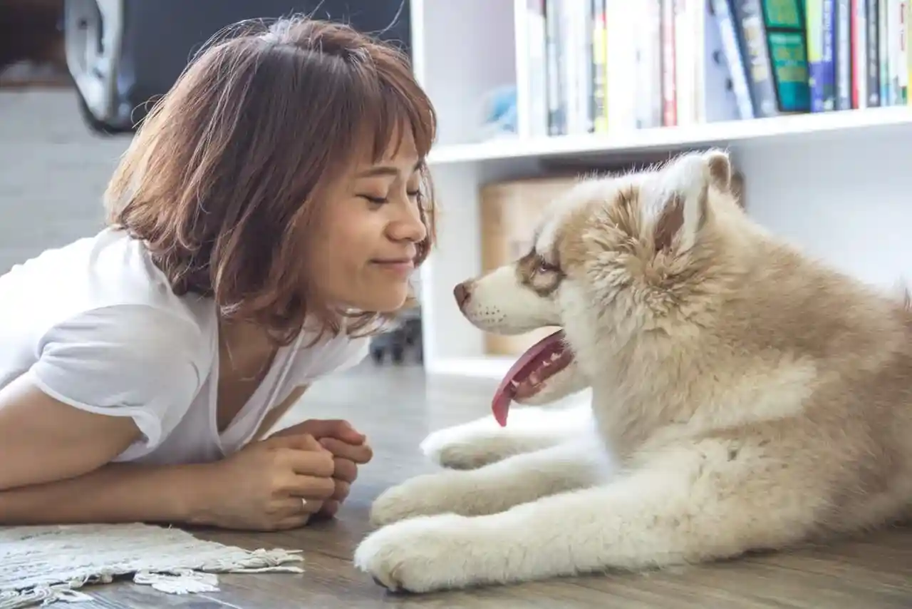 Why Our Pets Make Us Healthy & Happy