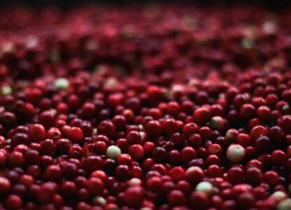Urinary Tract Infections: Prevention is Key
