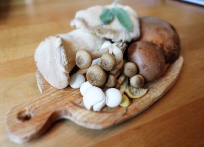Creamy Risotto with Wild Mushrooms and Fresh Thyme