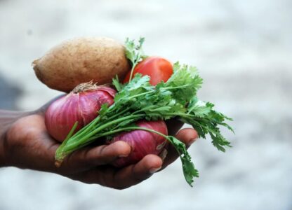 Why the Constant Nagging to Eat Vegetables