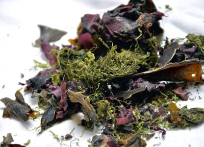 Best Vitamin For Anxiety