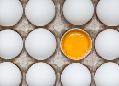 Cage Free, Free Range, Pastured – What Does It Mean?