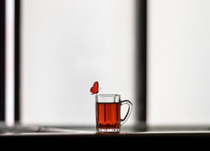 The Power Of Adaptation