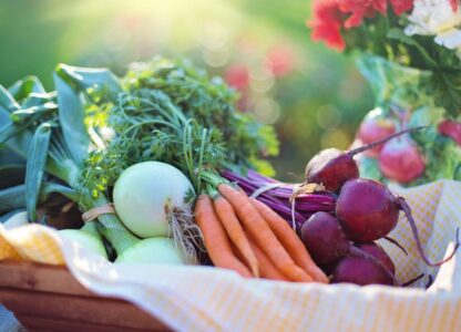 How You Can Reduce Food Waste