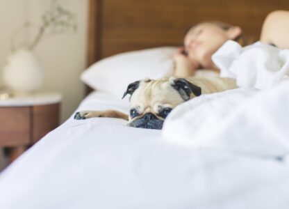 Does Stress Affect Sleep?