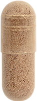 Ginkgo Bilboa Extract 