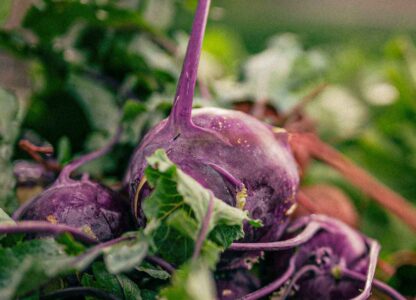 6 anti-inflammatory foods according to a dietitian