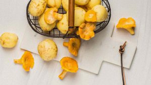 mushrooms in a basket