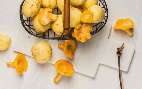 mushrooms in a basket