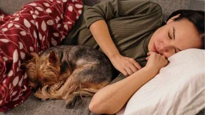 woman sleeping on couch with a small dog