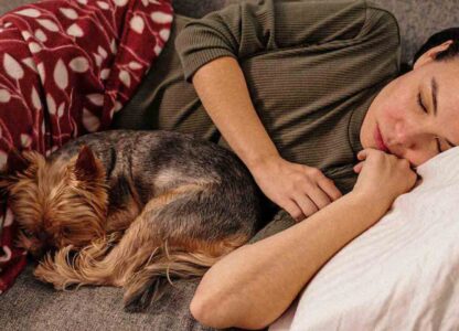 How does sleep affect your immune system? 