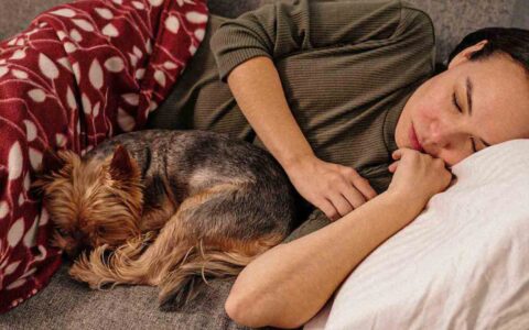 woman sleeping on the couch with her dog