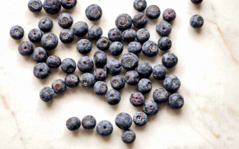 blueberries spread out on countertop
