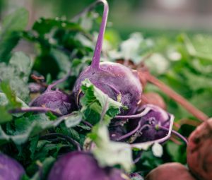 beets on the ground