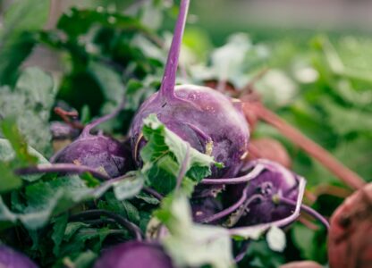 A nutritionist’s favorite winter superfoods 