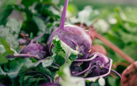beets on the ground