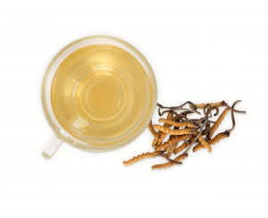 cordyceps mushroom and tea