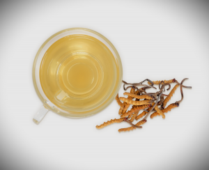 cordyceps tea and mushroom