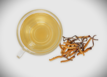 Will cordyceps make me a zombie? Notes from a nutritionist 