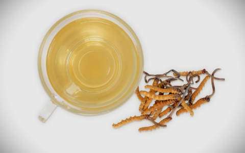 cordyceps tea and mushroom