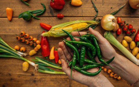 someone holding green chili peppers