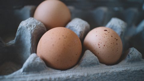 three brown eggs in a carton
