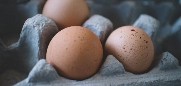 three brown eggs in a carton