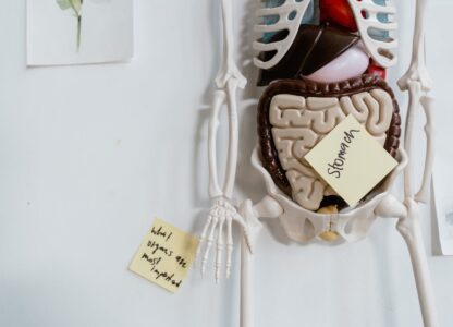 Stress and Digestion: How to Support Your Gut