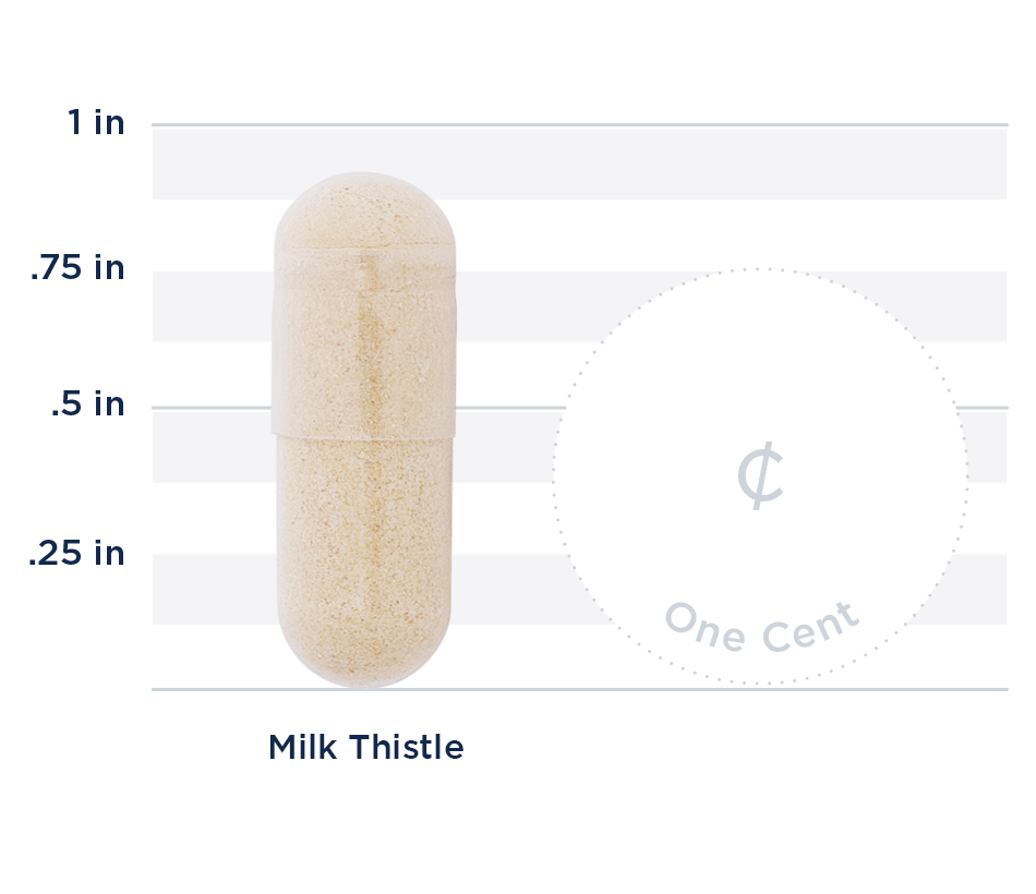 Milk Thistle