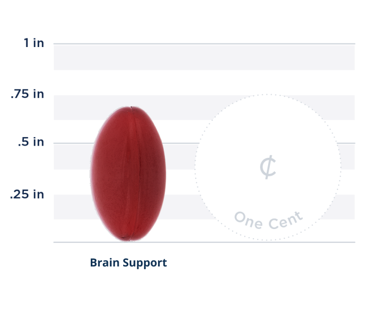 Brain Support