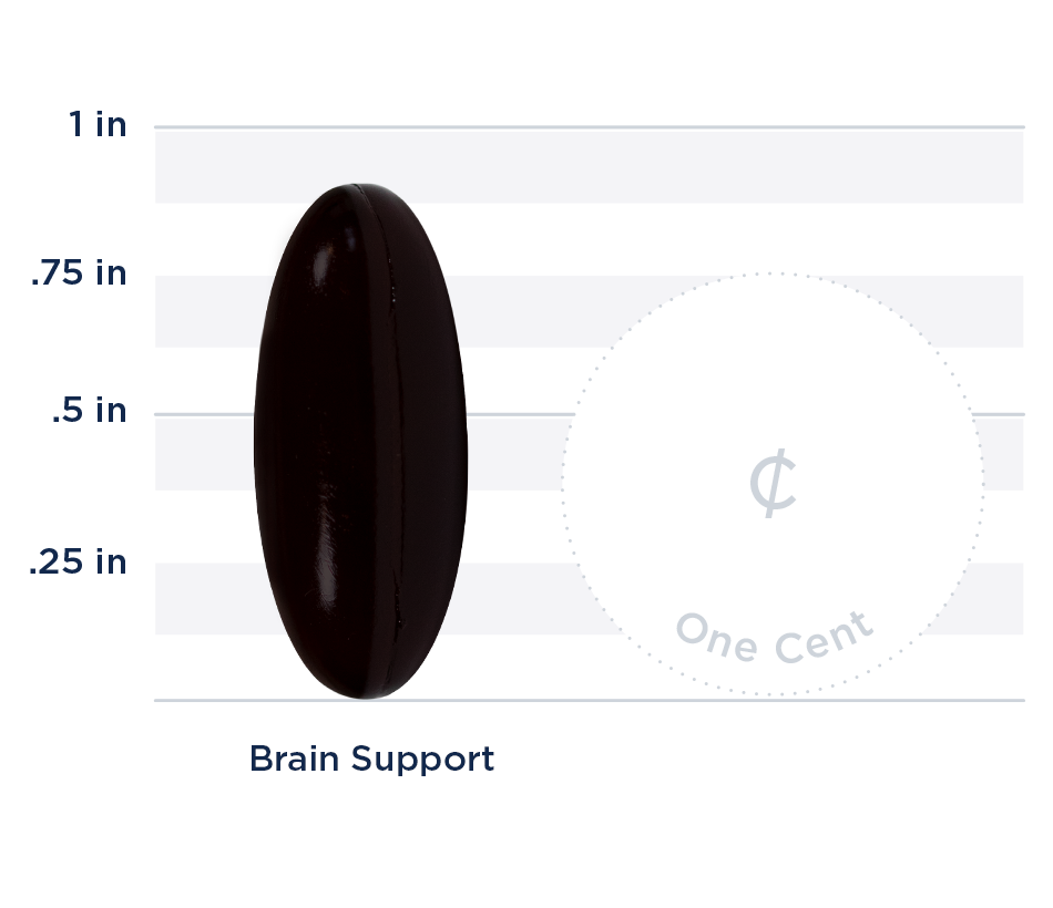 Brain Support