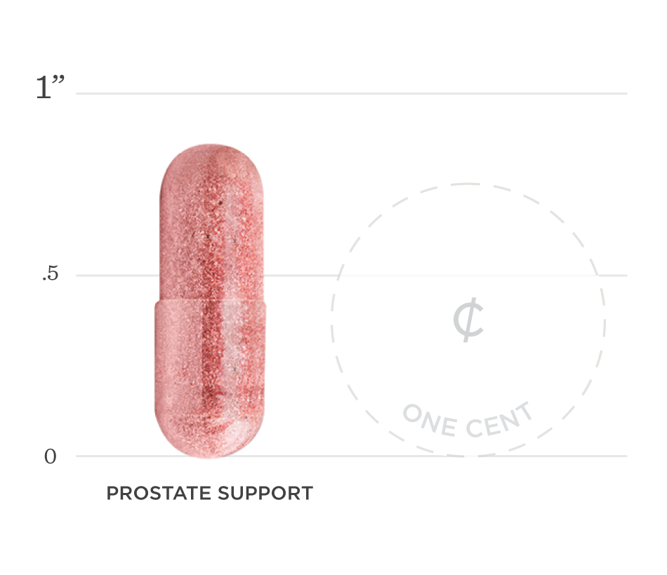 Prostate Support