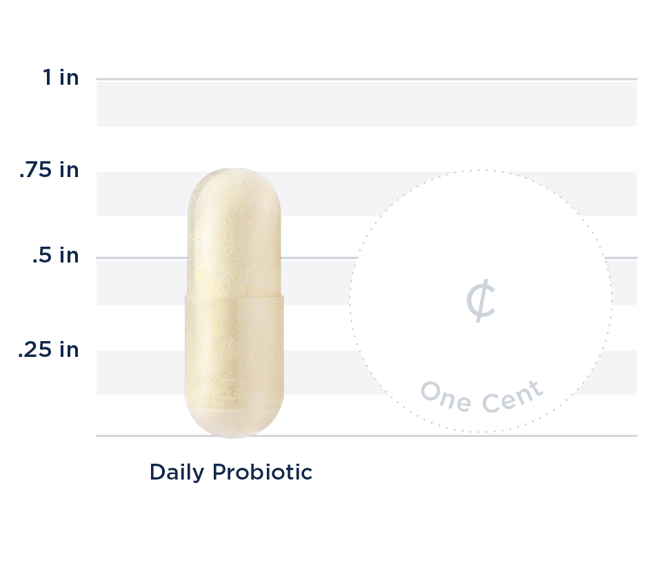 Daily Probiotic