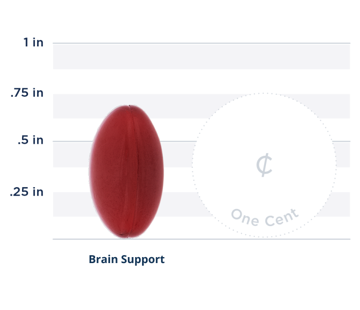 A Graph of Brain Gain which is roughly .75 inches in size