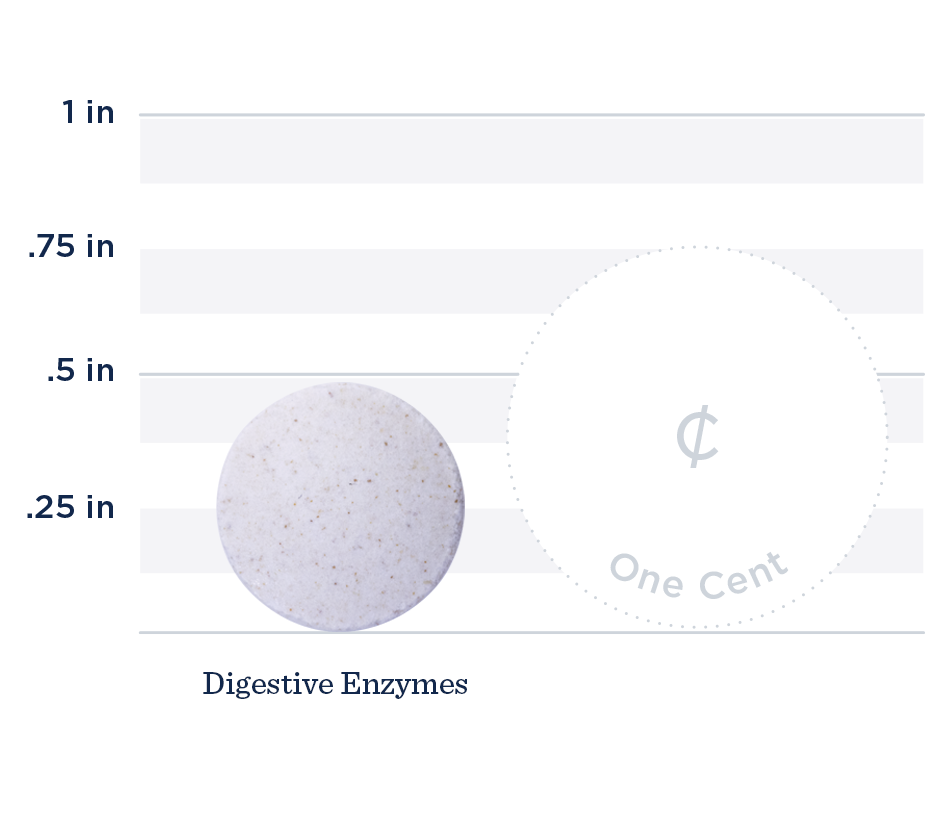 Digestive Enzymes