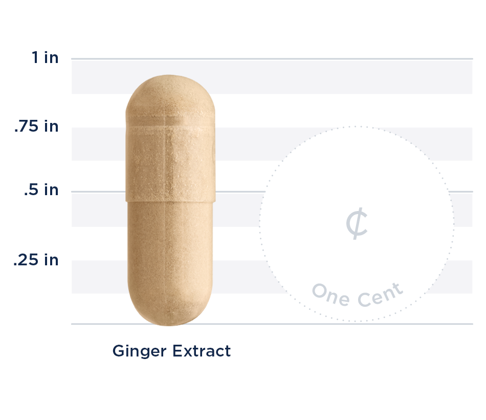 Ginger Extract 