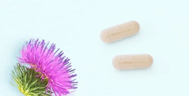 Milk Thistle