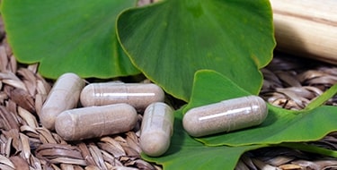 Ginkgo Biloba