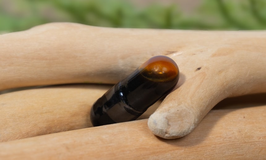 Fermented Ginseng