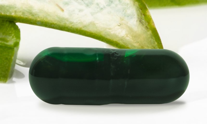 Aloe Plus