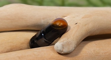Fermented Ginseng