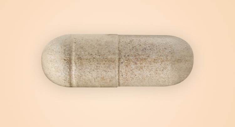 Astragalus