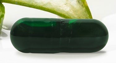 Aloe Plus