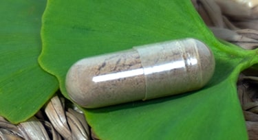 Ginkgo Biloba