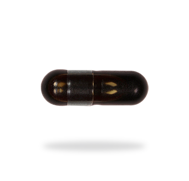 Fermented Ginseng