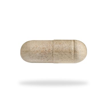 Astragalus